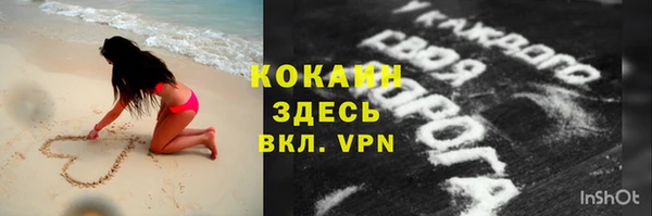 соль ск Белокуриха