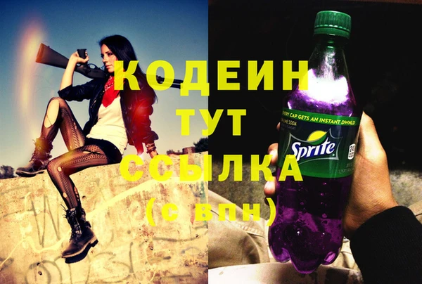 соль ск Белокуриха