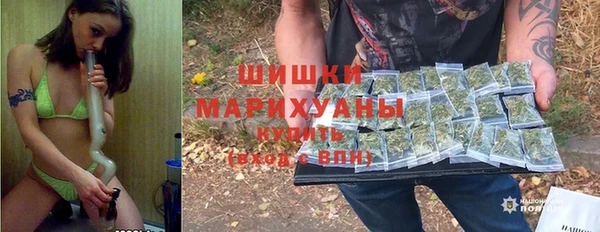 соль ск Белокуриха