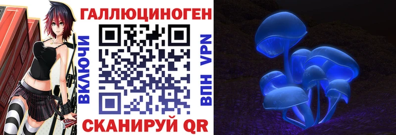 Псилоцибиновые грибы Cubensis  Цимлянск 