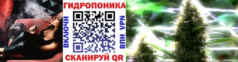 купить наркоту  площадка телеграм  Бошки Шишки LSD WEED  Цимлянск 